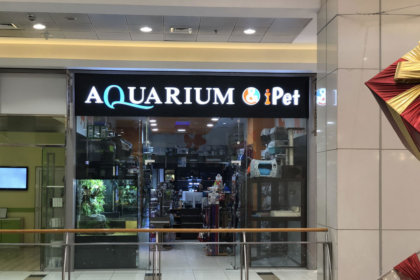 Светещи обемни букви на входа на Aquarium МОЛ София