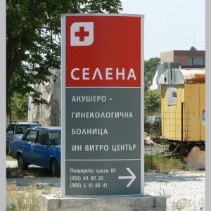 Светещ тотем Селена