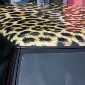 Mini Cooper wrapped with unique leopard print