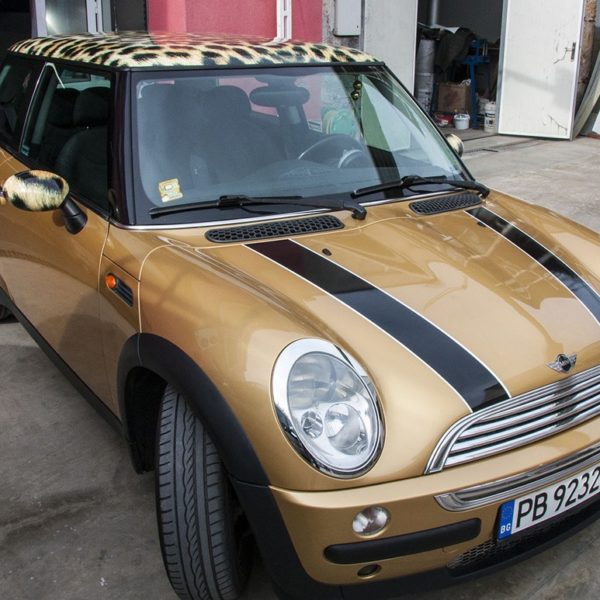 Unique vehicle branding - Media Design