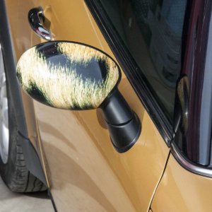 Rearviews wrapped with a self-adhesive film with a leopard print