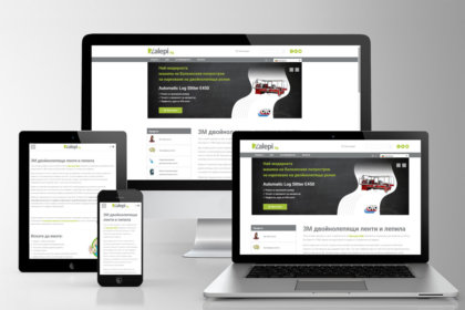 Designing an online store zalepi.bg, Media Design