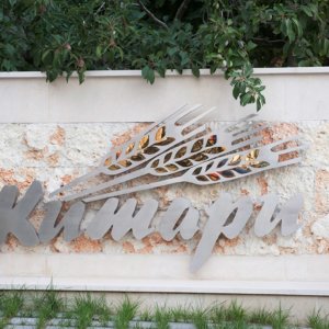 Back-lit inox channel letters Zhitari