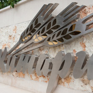 Back-lit inox channel letters for complex Zhitari