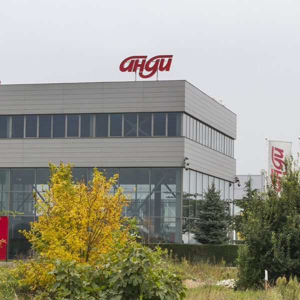 Andy channel letters Andy channel letters