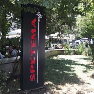 Рекламен тотем поставен на тревиства площ