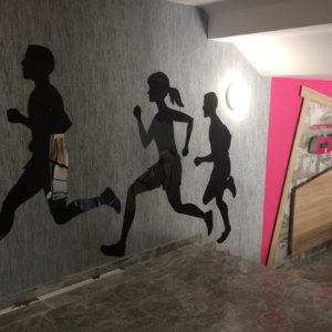 Декоративни елементи за стени, изработени от бонд в спортен комплекс Сила, Пловдив Декоративни елементи за стени, изработени от бонд в спортен комплекс Сила, Пловдив