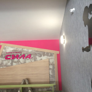 Визуална комуникация чрез декоративни елементи за стени, комплекс Сила Визуална комуникация чрез декоративни елементи за стени, комплекс Сила