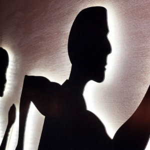 Декоративни елементи за стени, изработени от бонд в спортен комплекс Сила, Пловдив, контражурно светене Декоративни елементи за стени, изработени от бонд в спортен комплекс Сила, Пловдив, контражурно светене, отблизо