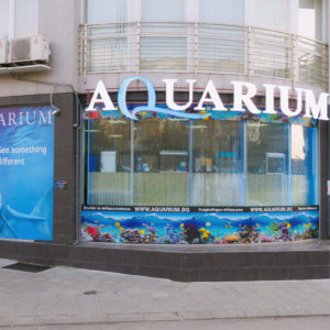 Надпис от обемни светещи букви Aquarium София