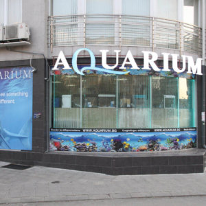 Aquarium София с надписи от обемни букви от плексиглас