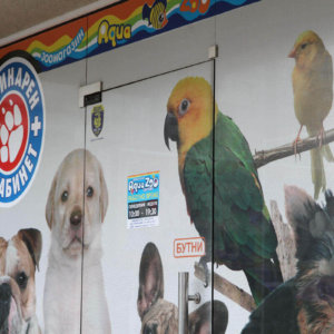 Перфо фолио на зоомагазин в Пловдив