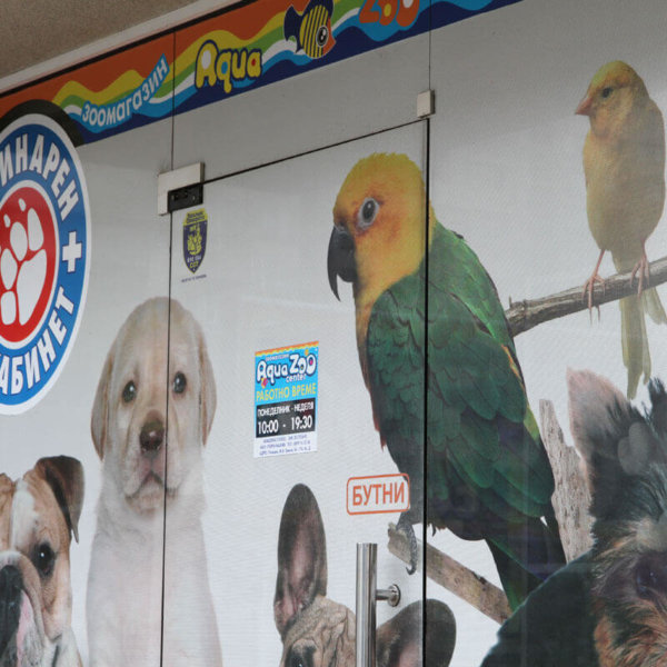 Perfo film for pet store in Plovdiv Perfo film for pet store in Plovdiv