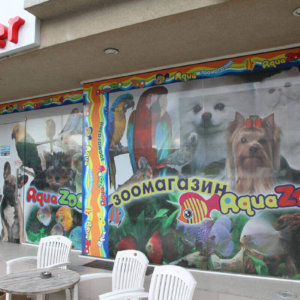 Фолио на витрините на магазин Aqua Zoo