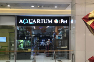 Illuminated sign for Aquarium & iPet