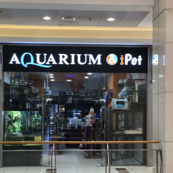 Светещи обемни букви на входа на Aquarium МОЛ София Светещи обемни букви на входа на Aquarium МОЛ София