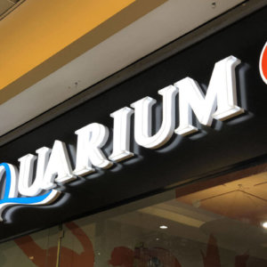 Обемни букви от плексиглас и букви с транслуцентно фолио Обемни букви от плексиглас и букви с транслуцентно фолио