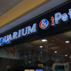 Рекламна табела с обемни букви на Aquarium МОЛ София Рекламна табела с обемни букви на Aquarium МОЛ София