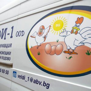 Брандиране на фирмен бус - Велди 1