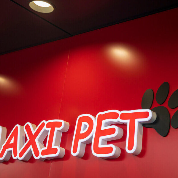 Варна, обемни букви – MaxiPet Варна, обемни букви - MaxiPet