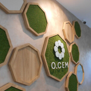 Attractive plexiglass logo for the interior of Dental center O.SEM, Burgas Attractive plexiglass logo for the interior of Dental center O.SEM, Burgas