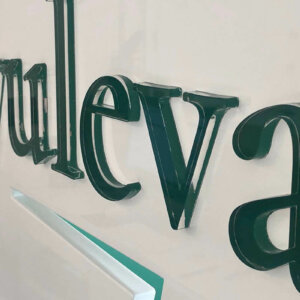 Релефни букви за Естетичен център Гюдюлева, Пловдив