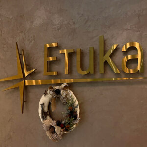 Stainless steel channel letters and logo for Medical Center Etika, Plovdiv Stainless steel channel letters and logo for Medical Center Etika, Plovdiv
