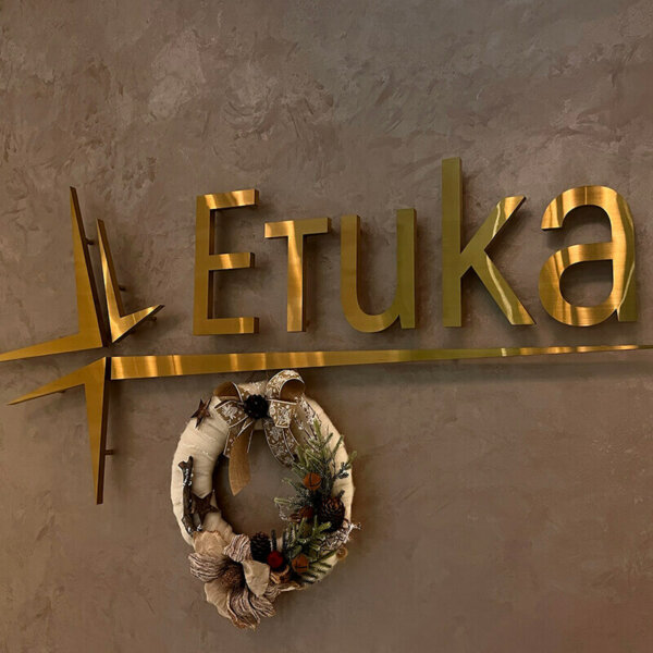 Stainless steel channel letters and logo for Medical Center Etika, Plovdiv