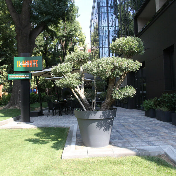 Светещ едностранен тотем за италиански ресторант Ill Monte Trattoria в DoubleTree by Hilton, Пловдив Светещ едностранен тотем за Ill Monte Trattoria