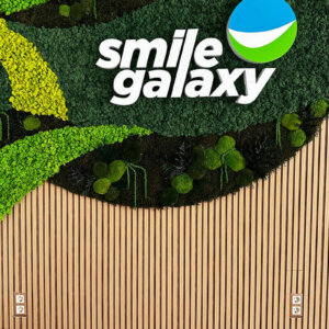 Illuminated aluminum channel letters Smile Galaxy on a decorative wall with Scandinavian moss