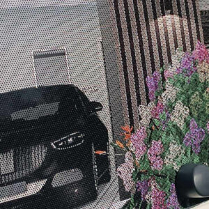 Wrapped car windows Wrapped car windows